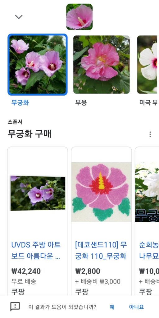 사진으로 꽃 이름 검색 결과