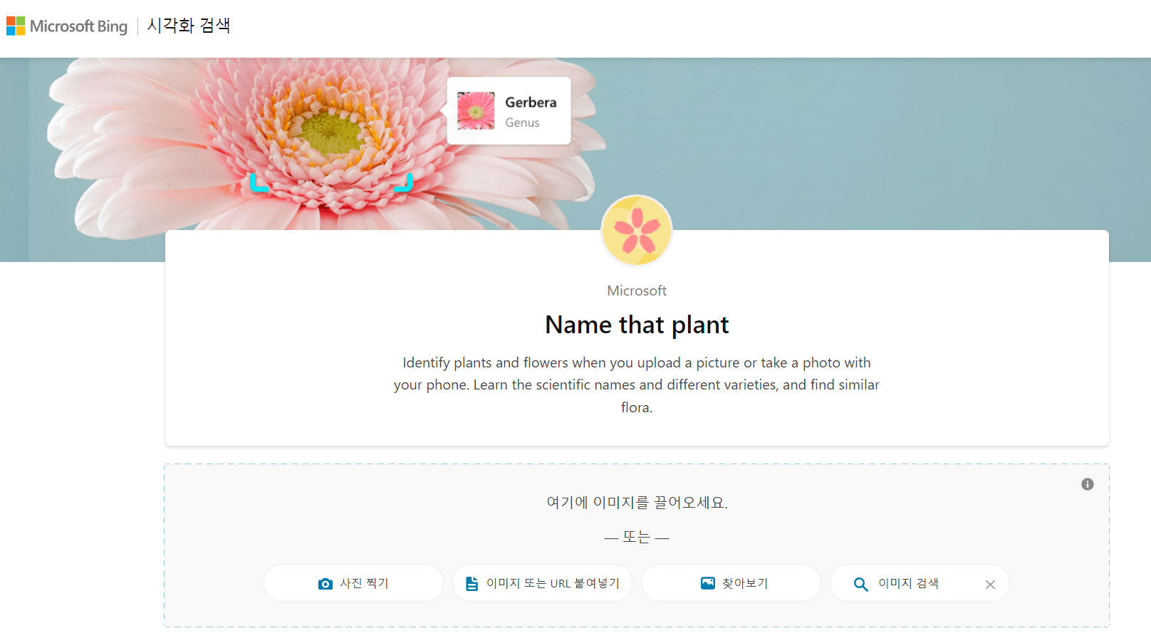 Bing 사진으로 꽃 이름 찾기